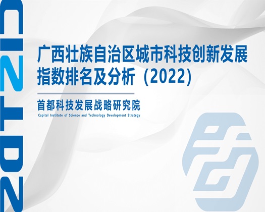 一级黄色性操逼视频网站【成果发布】广西壮族自治区城市科技创新发展指数排名及分析（2022）